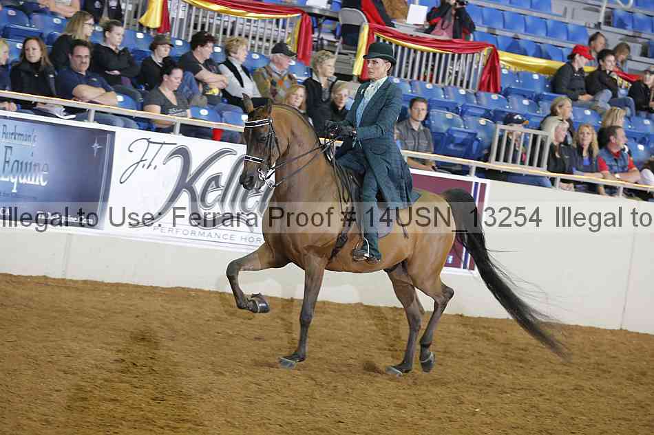 Proof 14usn_13254