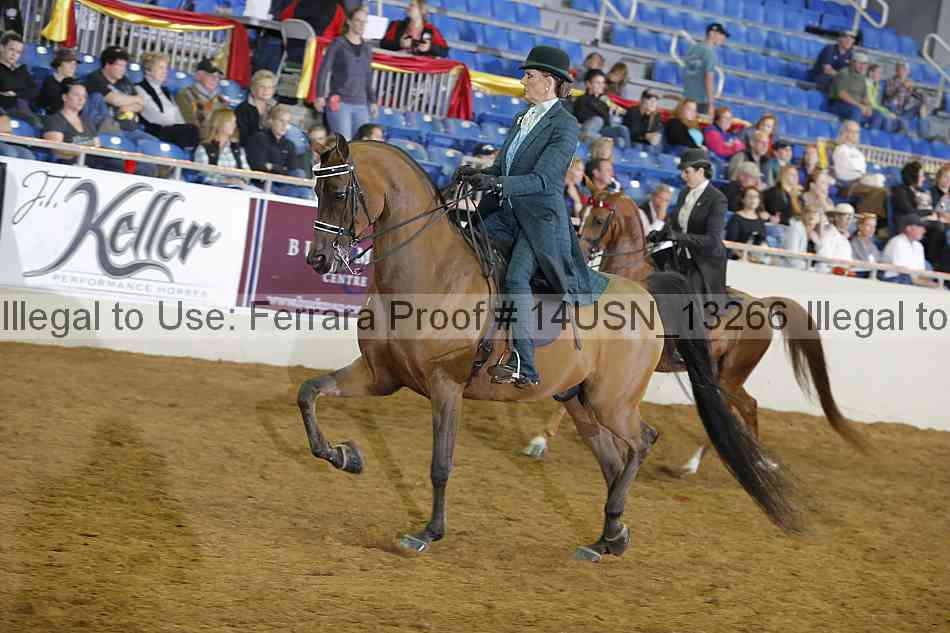 Proof 14usn_13266