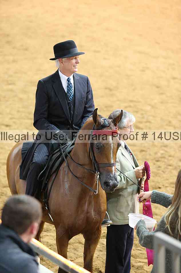 Proof 14usn_13294