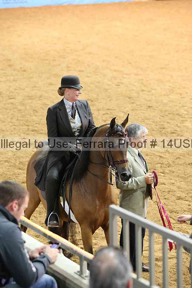 Proof 14usn_13308