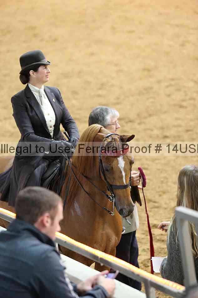 Proof 14usn_13312