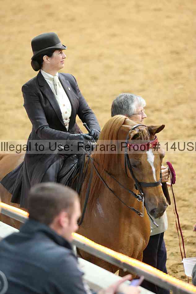 Proof 14usn_13313