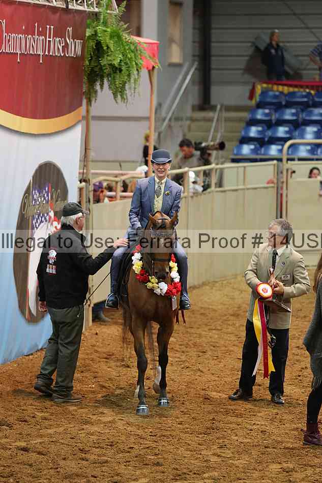Proof 14usn_13341