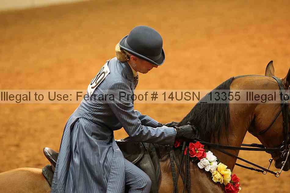 Proof 14usn_13355