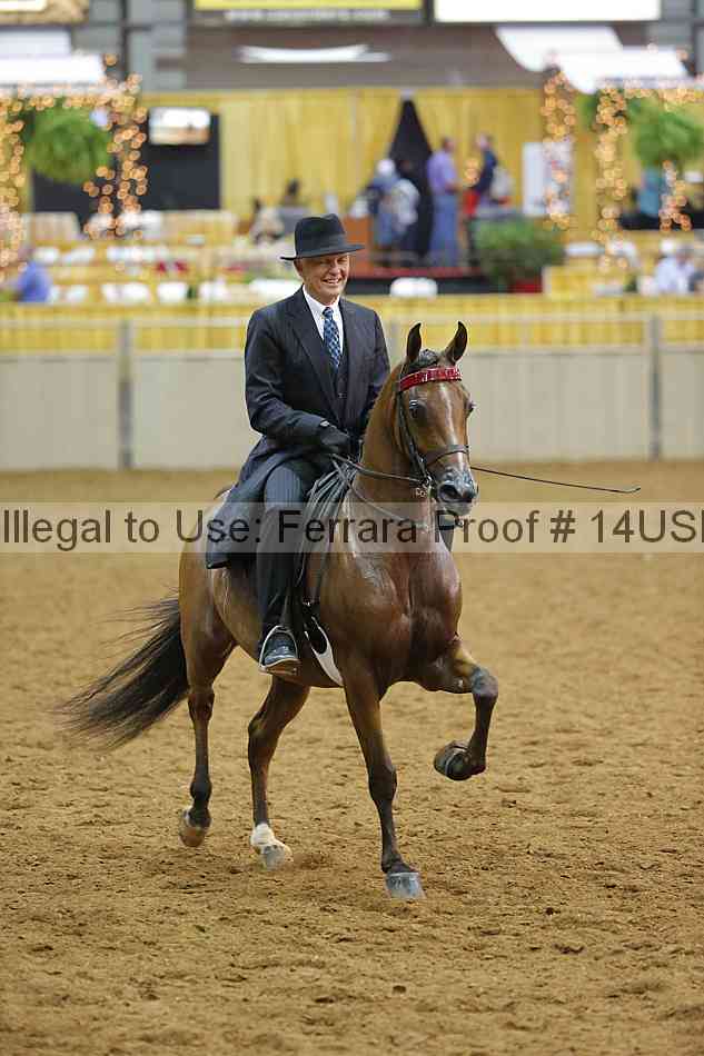 Proof 14usn_13395