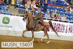 14usn_13407 proof