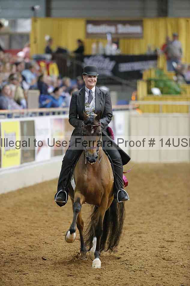 Proof 14usn_13421