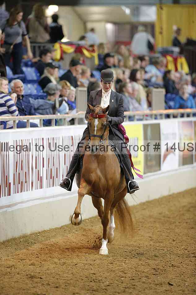 Proof 14usn_13428