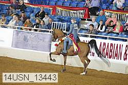 14usn_13443 proof