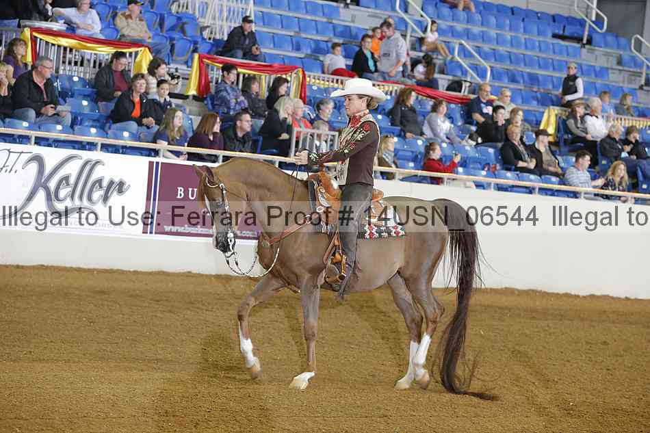 Proof 14usn_06544