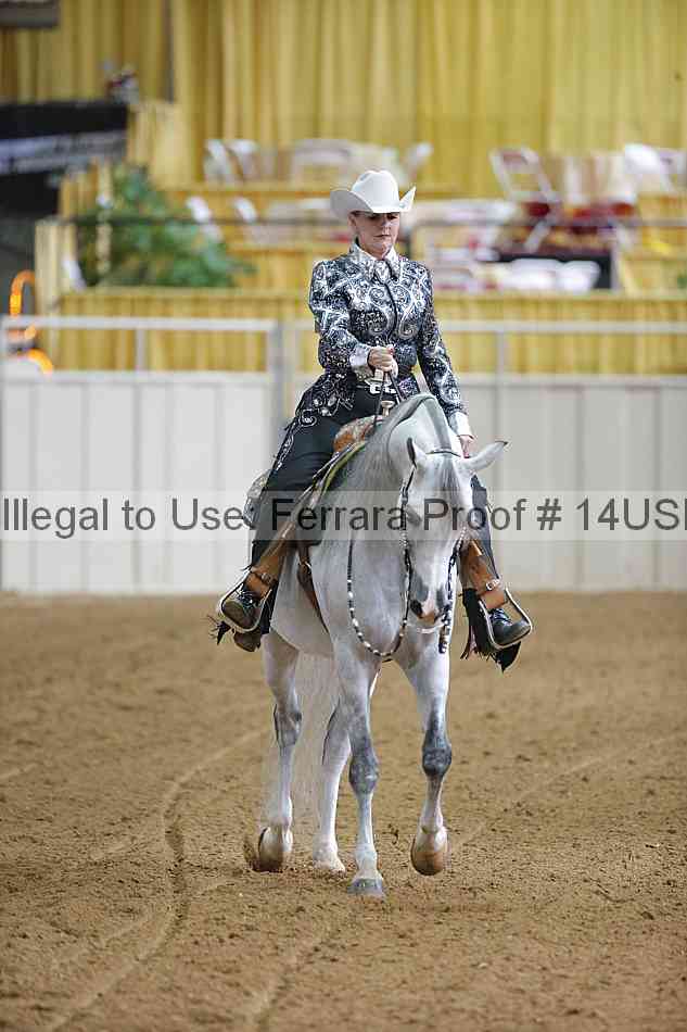 Proof 14usn_06555