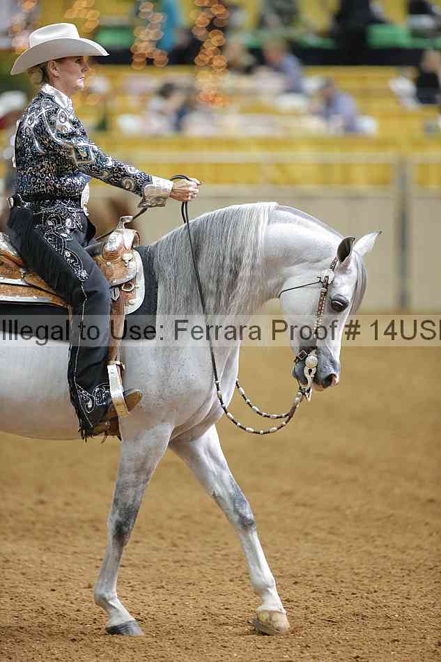 Proof 14usn_06557