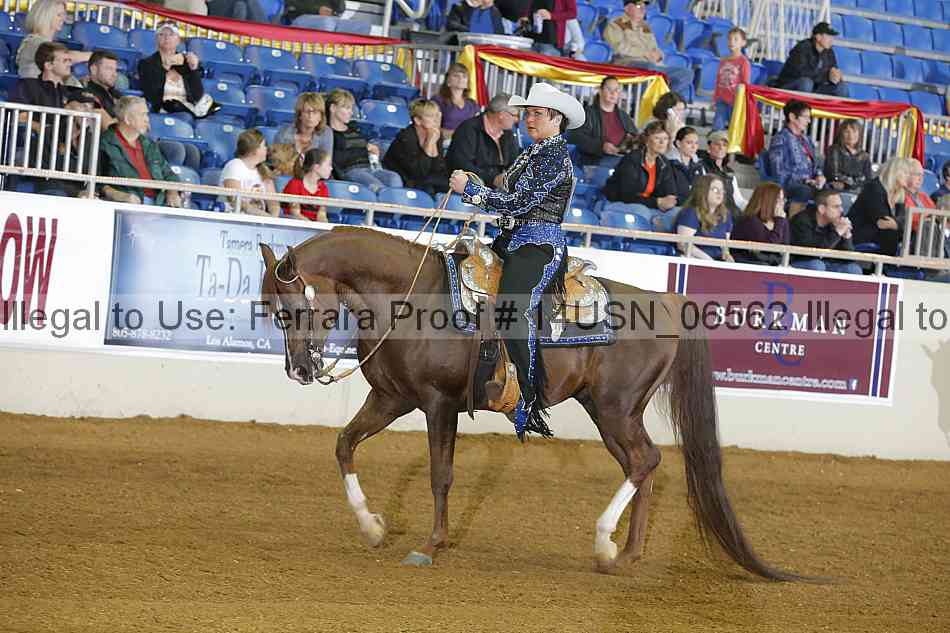 Proof 14usn_06562