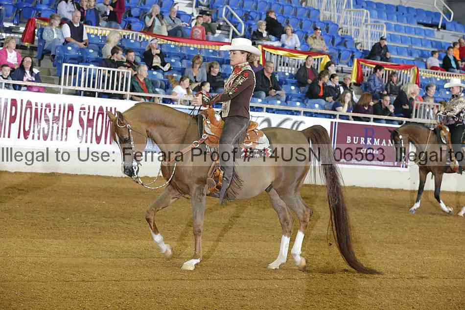 Proof 14usn_06563