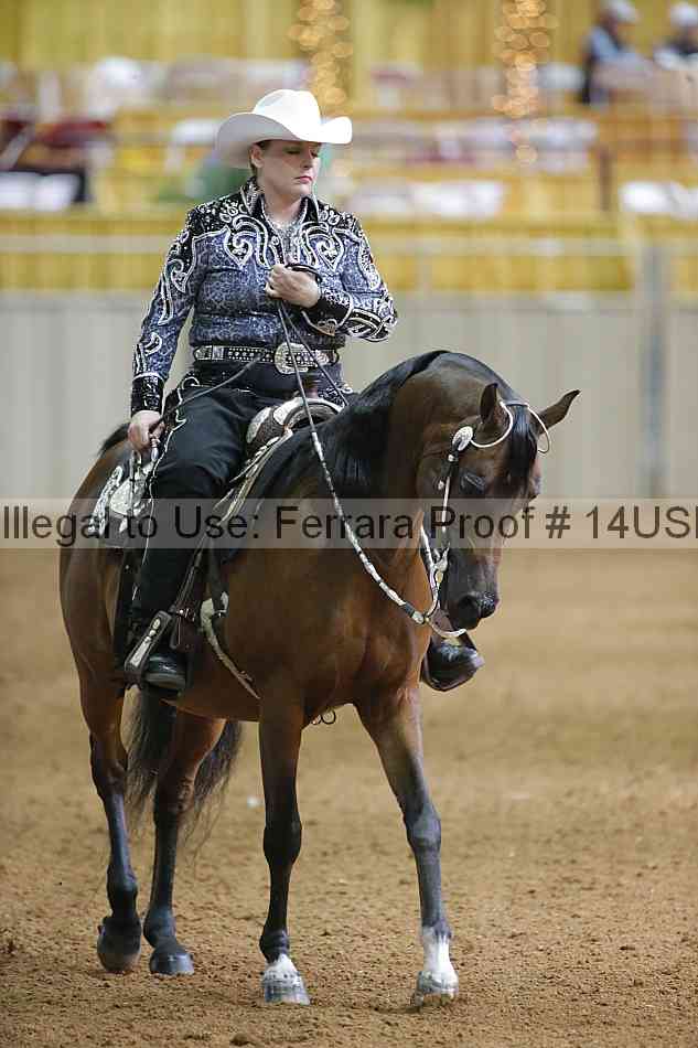 Proof 14usn_06565