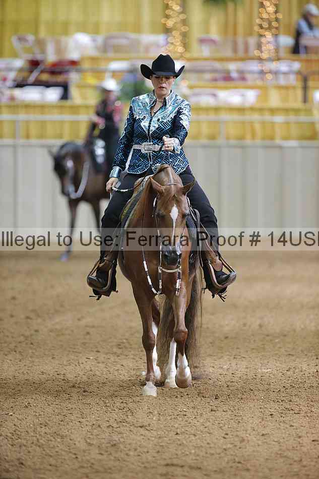Proof 14usn_06572