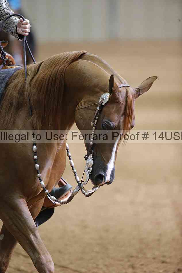 Proof 14usn_06573