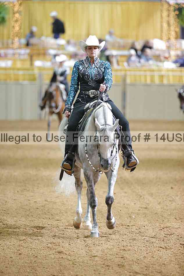 Proof 14usn_06585