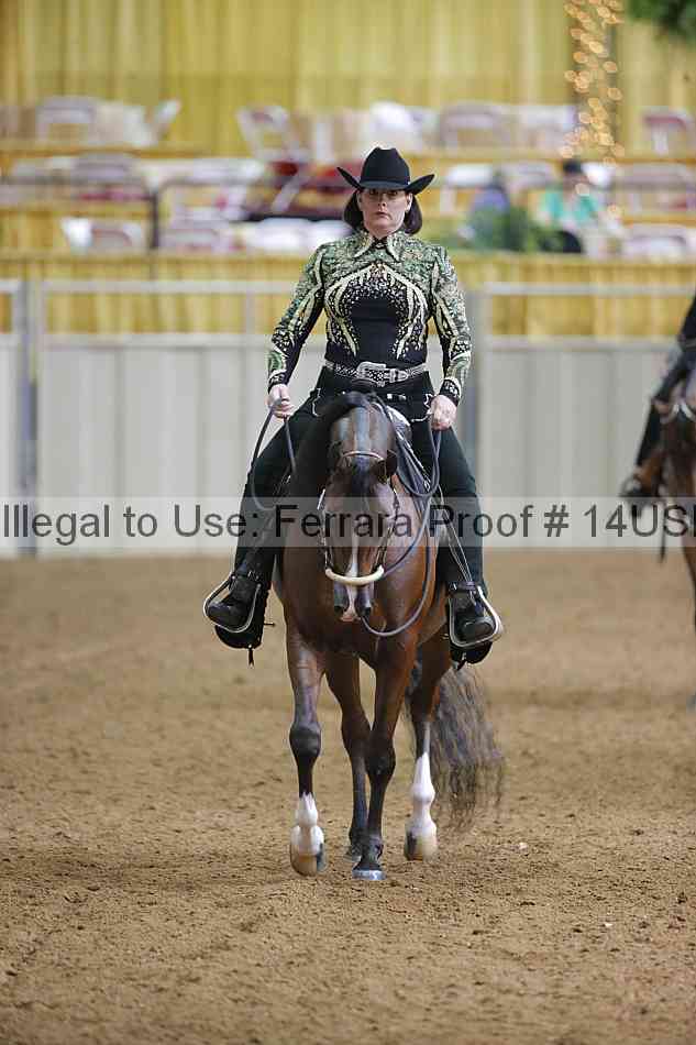 Proof 14usn_06586