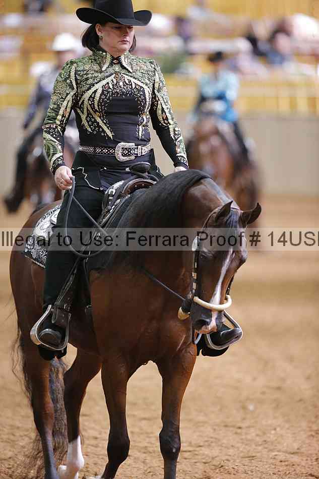 Proof 14usn_06588