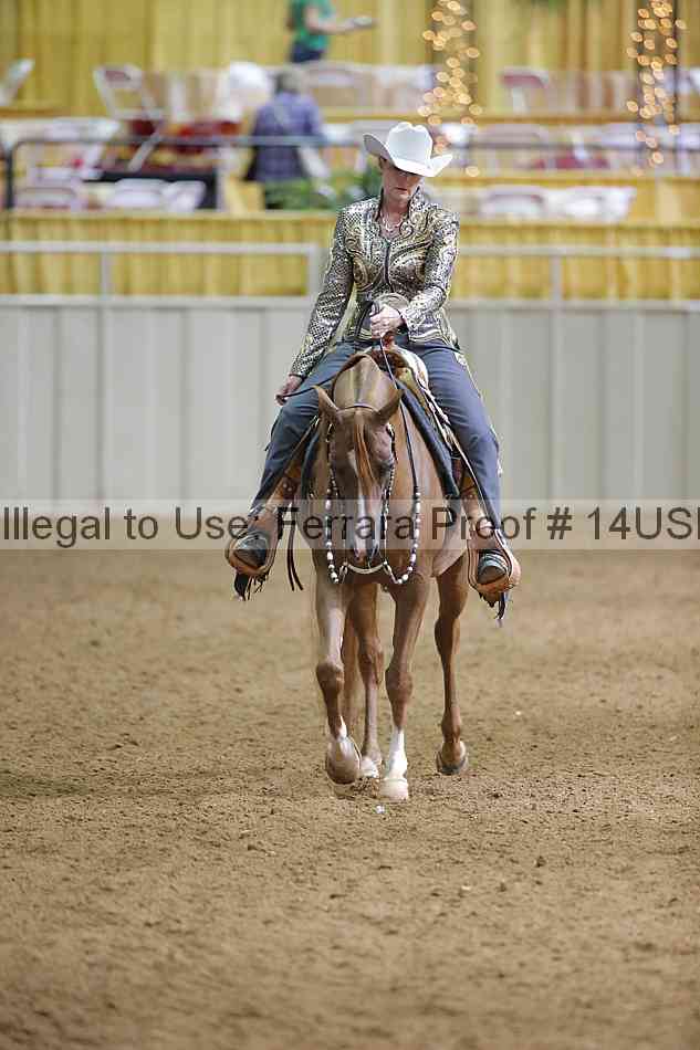 Proof 14usn_06591