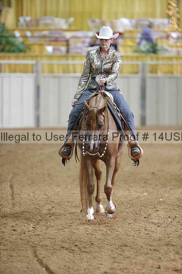 Proof 14usn_06592