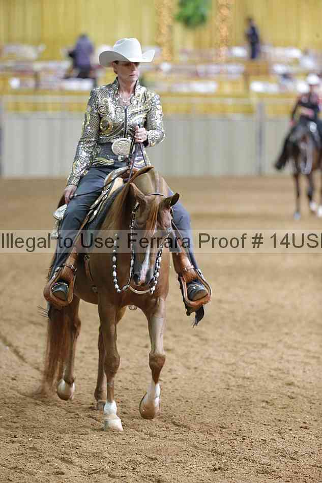 Proof 14usn_06593