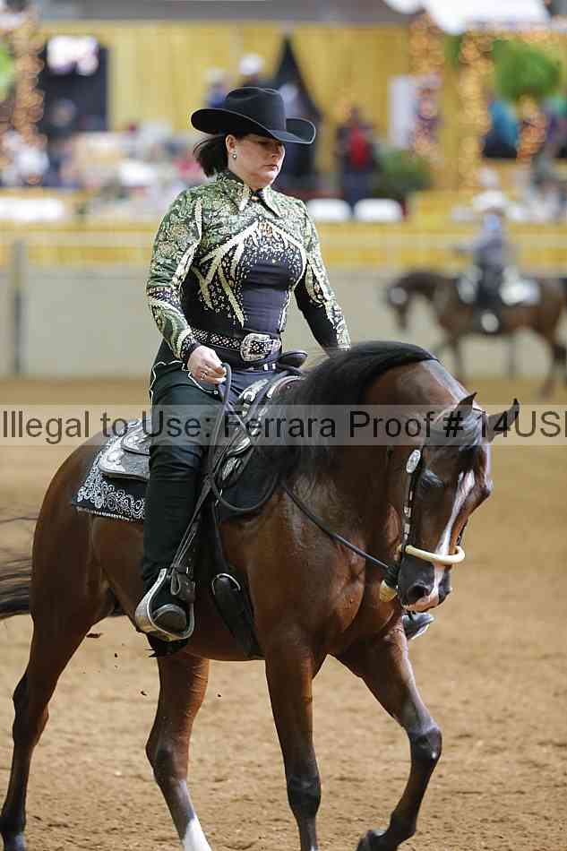 Proof 14usn_06594