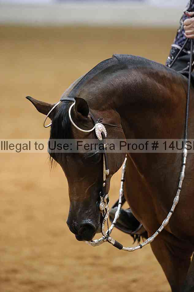 Proof 14usn_06600