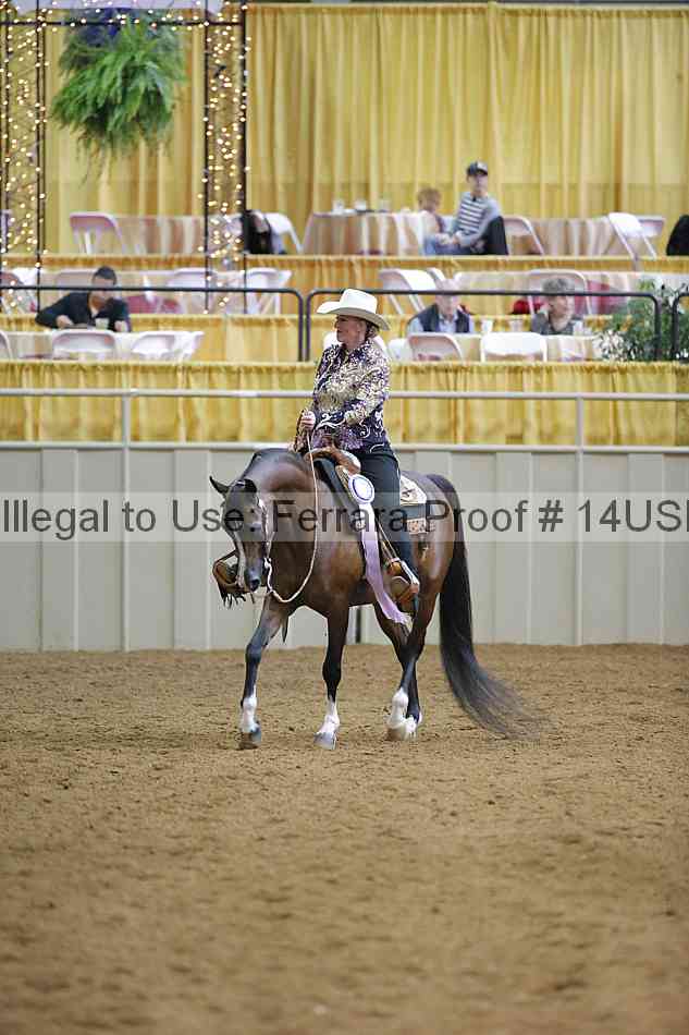 Proof 14usn_06603