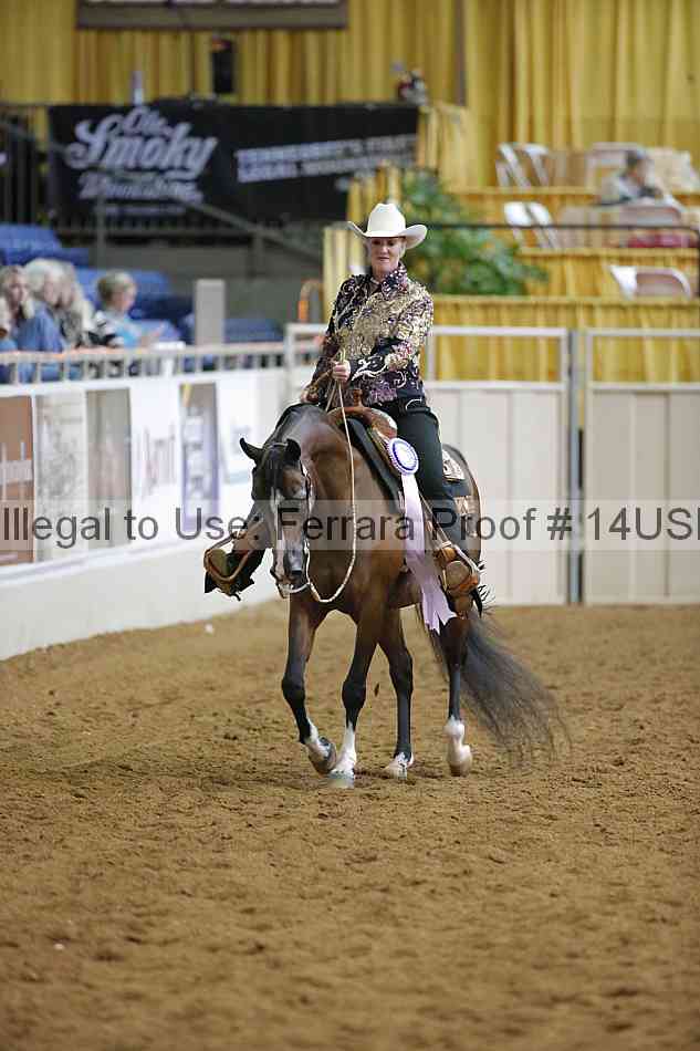 Proof 14usn_06604