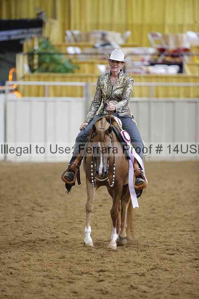 Proof 14usn_06611