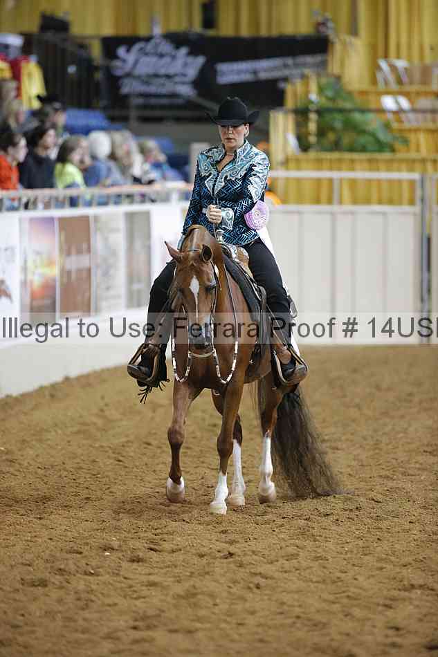 Proof 14usn_06624