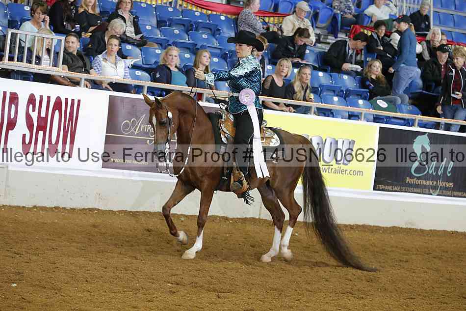 Proof 14usn_06626