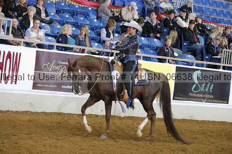Proof 14usn_06638