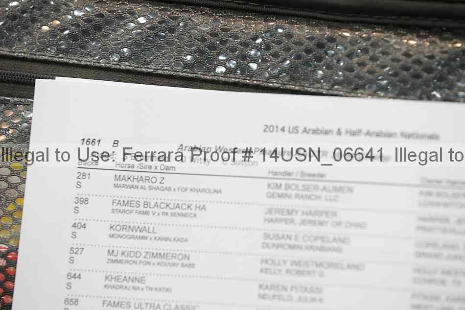 Proof 14usn_06641