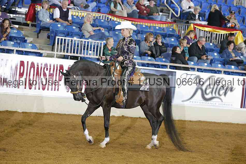 Proof 14usn_06646