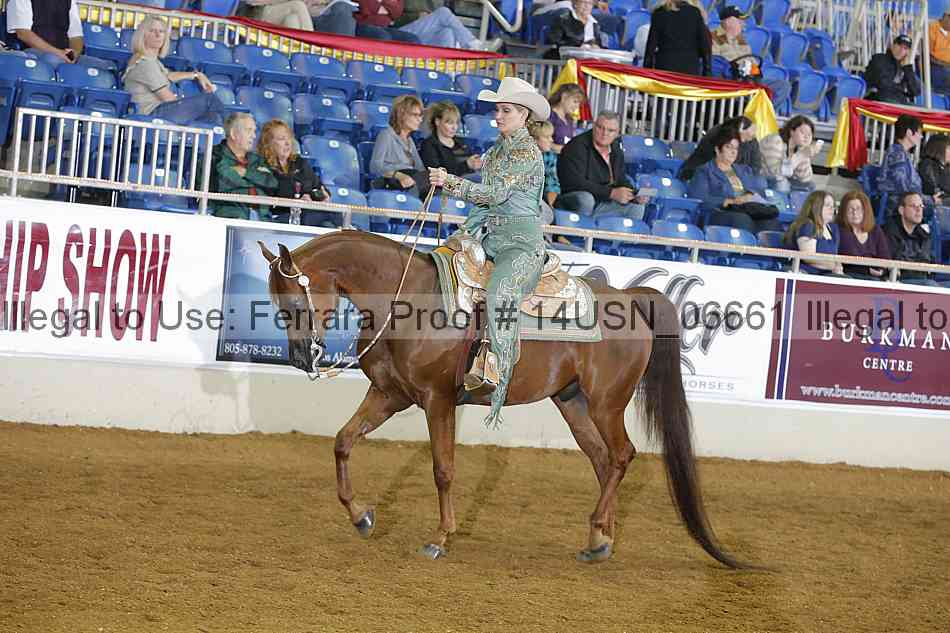 Proof 14usn_06661