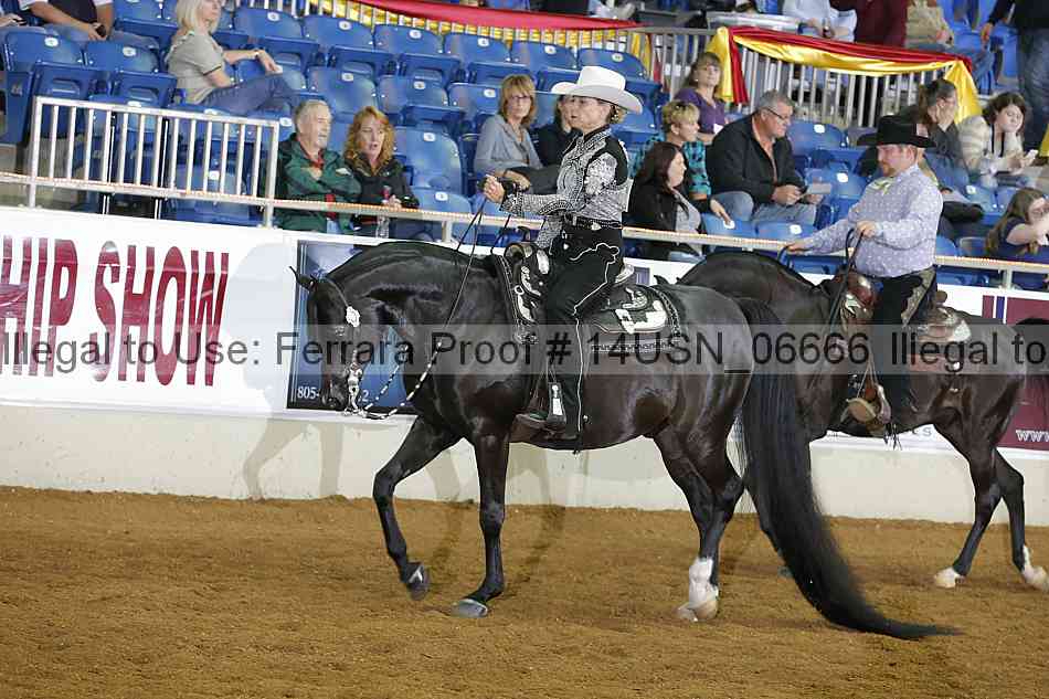 Proof 14usn_06666