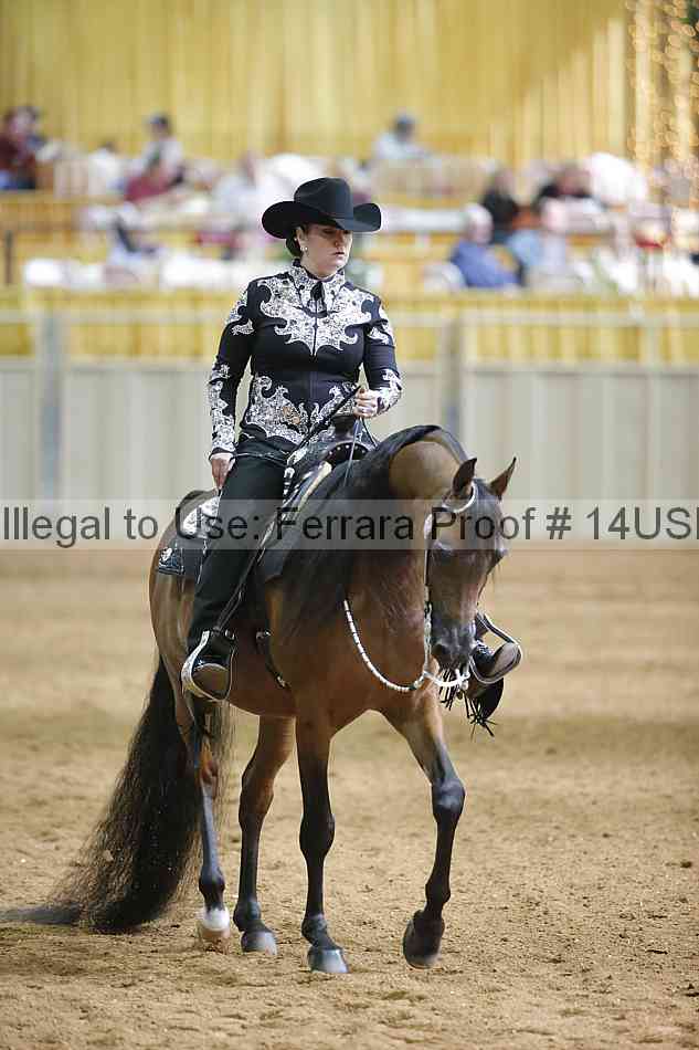 Proof 14usn_06668