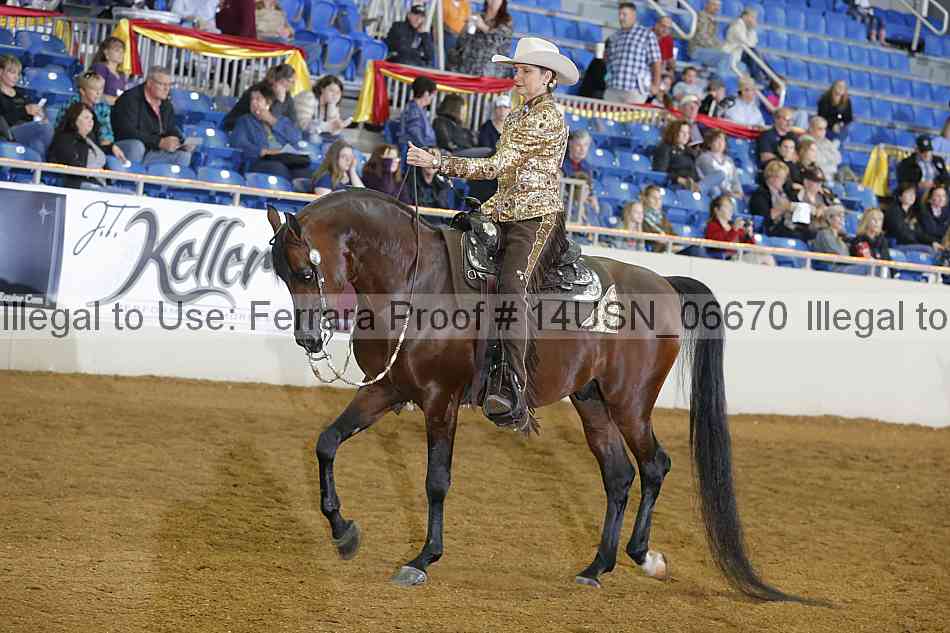 Proof 14usn_06670