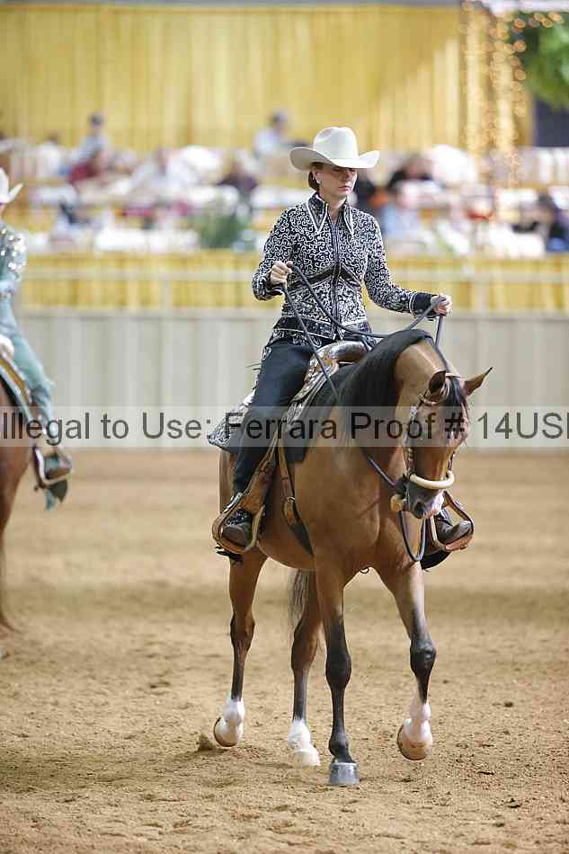 Proof 14usn_06674