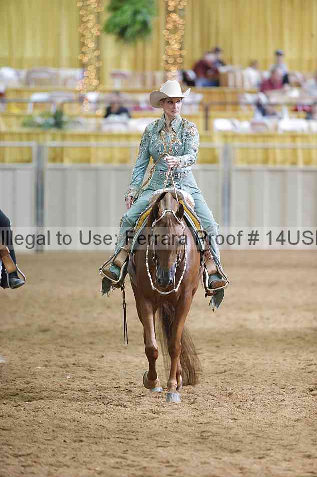 Proof 14usn_06675