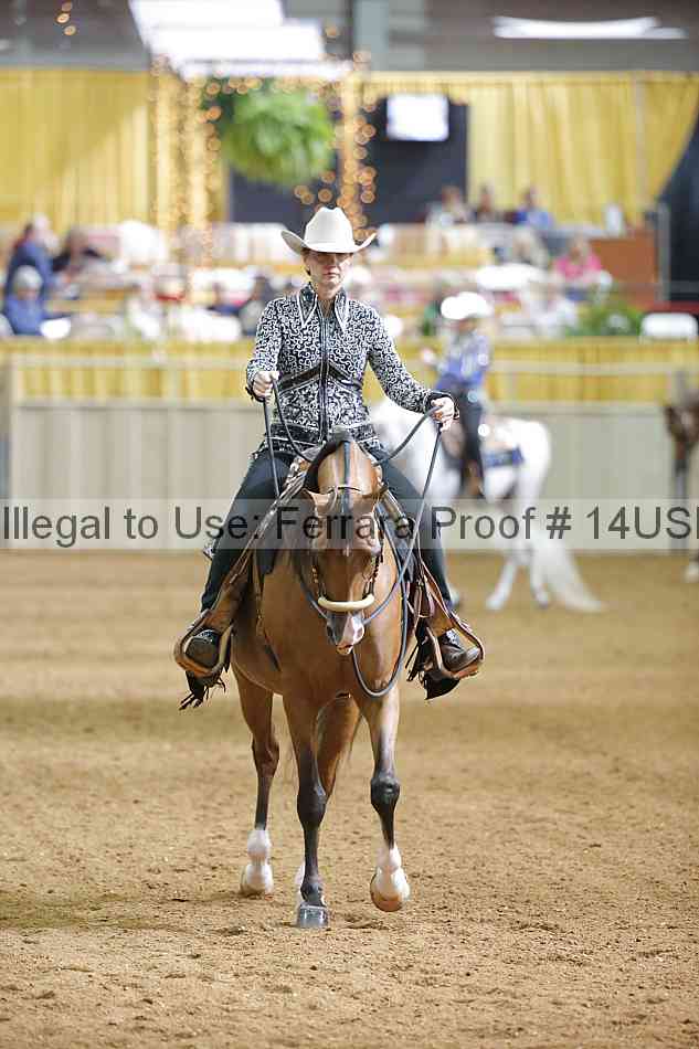 Proof 14usn_06695