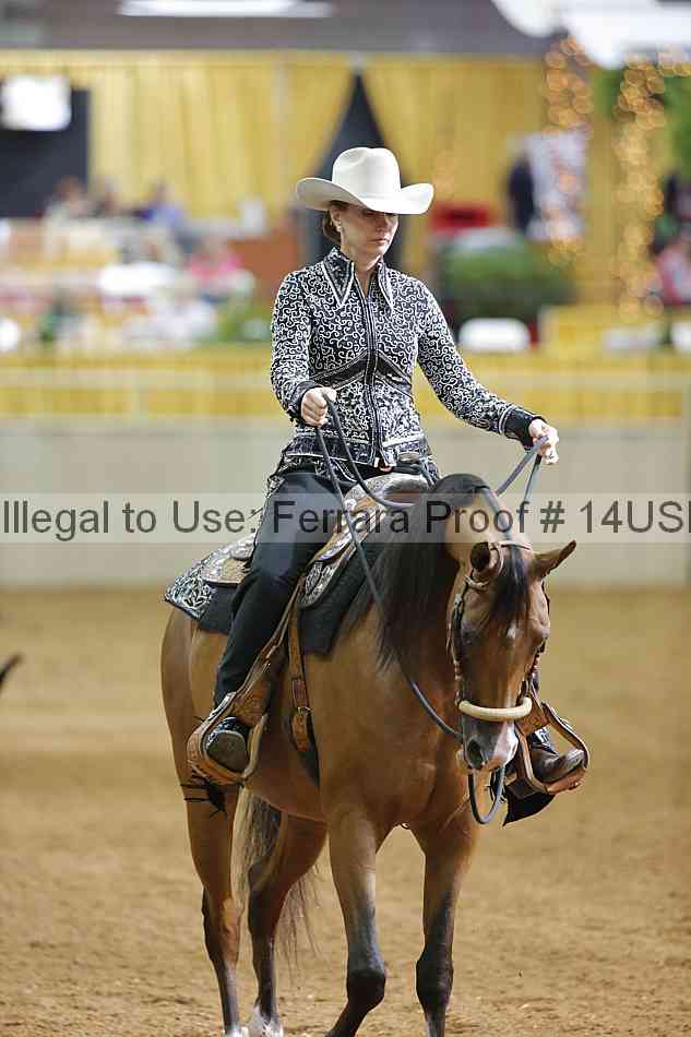 Proof 14usn_06696