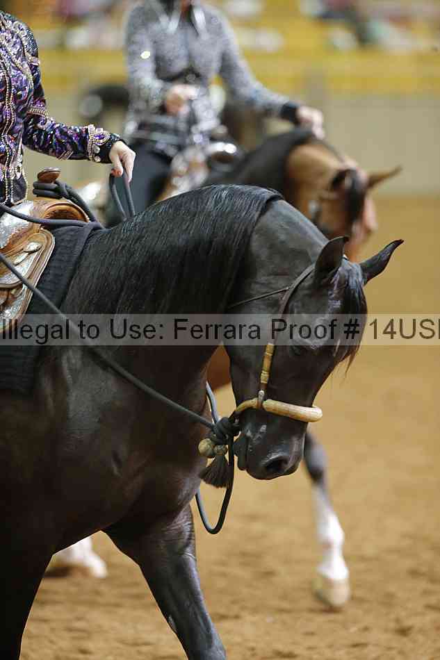Proof 14usn_06697