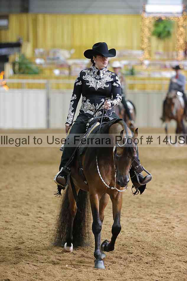 Proof 14usn_06698