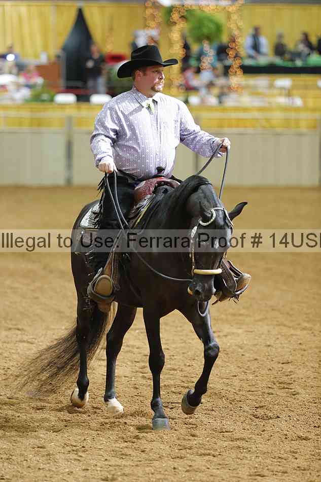 Proof 14usn_06701