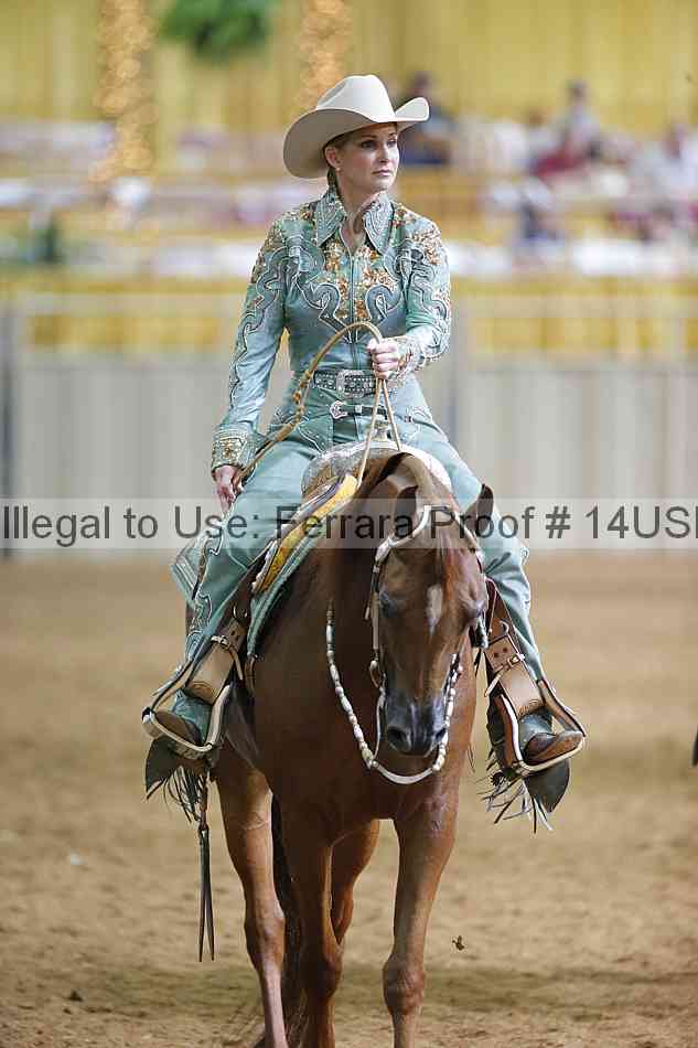 Proof 14usn_06703