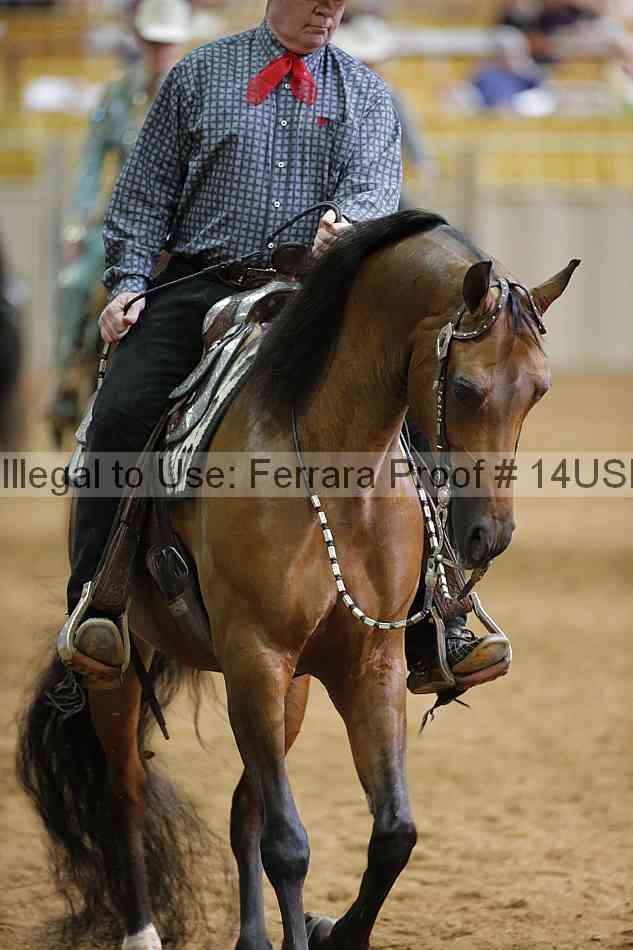 Proof 14usn_06706